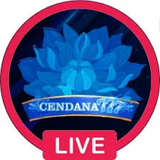 CENDANA777 - Balapan Seru dan Menantang